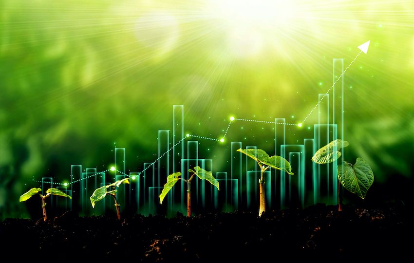 The seedlings grow from the rich soil with a commercial arrow of growth.Concept of business growth, profit, development and success