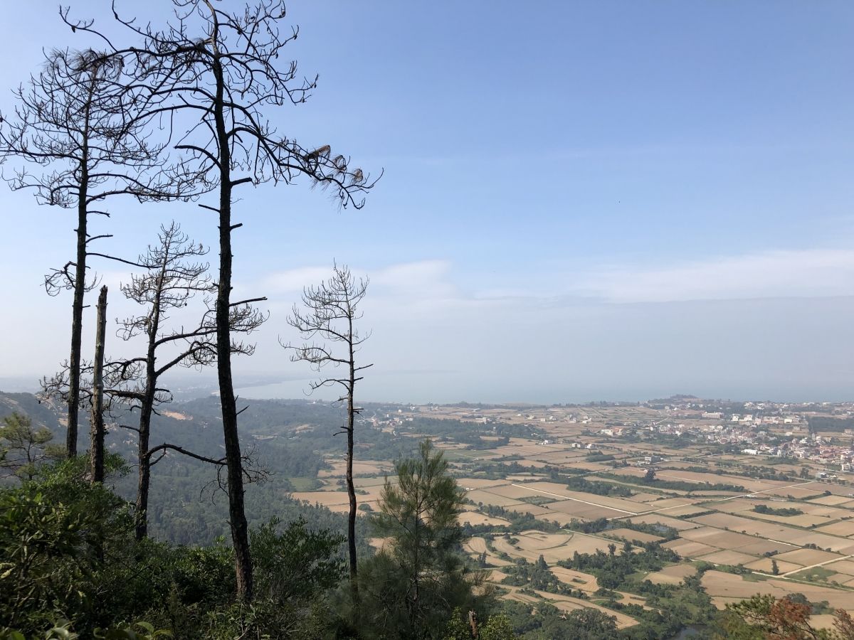 Vue de Kinmen depuis le mont Taiwu. 21 novembre 2018.