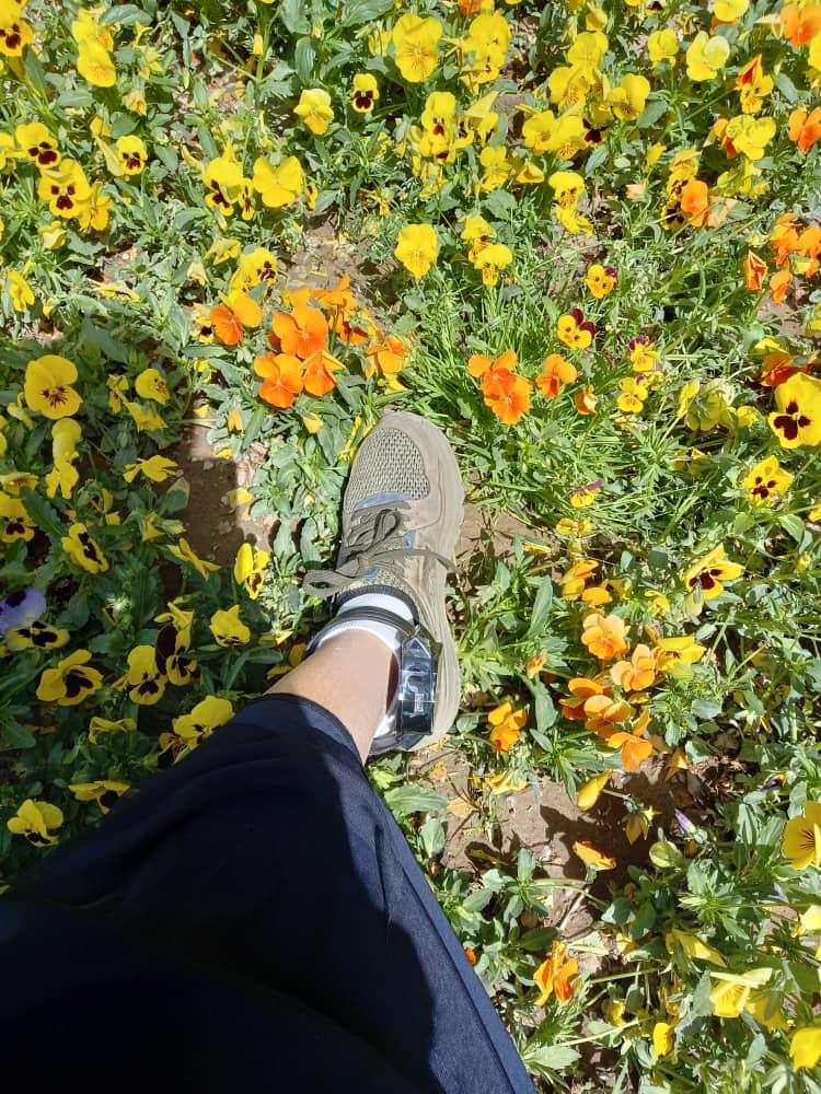 Pendant le printemps 2021, bracelet électronique à la cheville, Fariba passe son temps à photographier ses pieds en marchant parmi les parterres fleuris de son quartier.