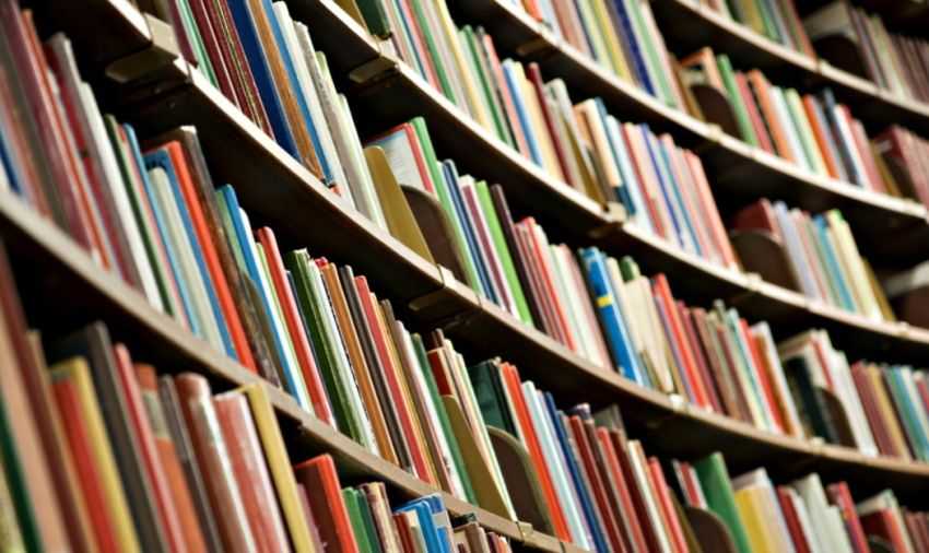 Étagère de bibliothèque avec de nombreux livres © Amy Johansson / Shutterstock