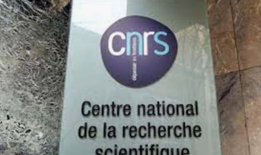 CNRS _ afp.com/Lionel Bonaventure
