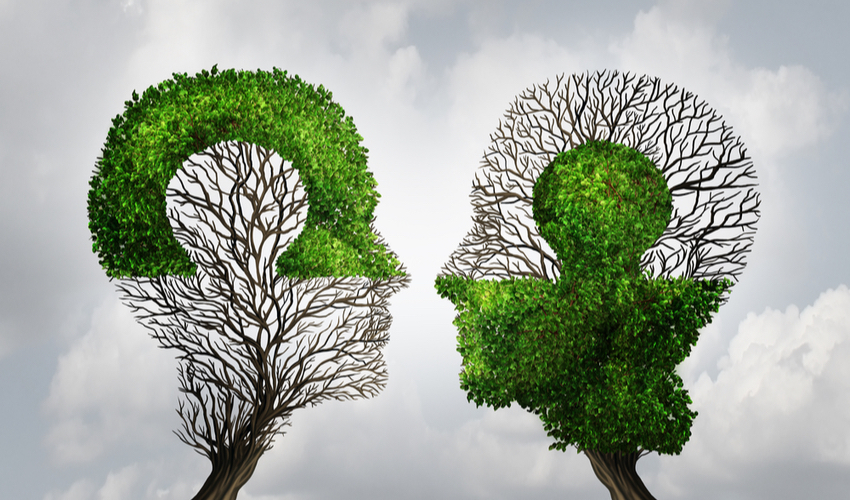 Connecting puzzle shaped as two trees in the form of human heads connecting together @Lightspring/Shutterstock