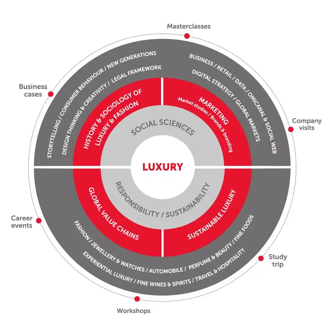 Curriculum outline of the Master in Marketing: New Luxury & Art de Vivre