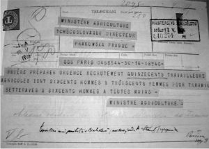 La gestion bilatérale de la migration, outil de réaction instantanée aux besoins de main-d’œuvre : un télégramme du ministère français de l’Agriculture à son homologue tchécoslovaque. Source : Prague, Arch. ministère de l’Agriculture, 83/2/540 (17 mai 1924).