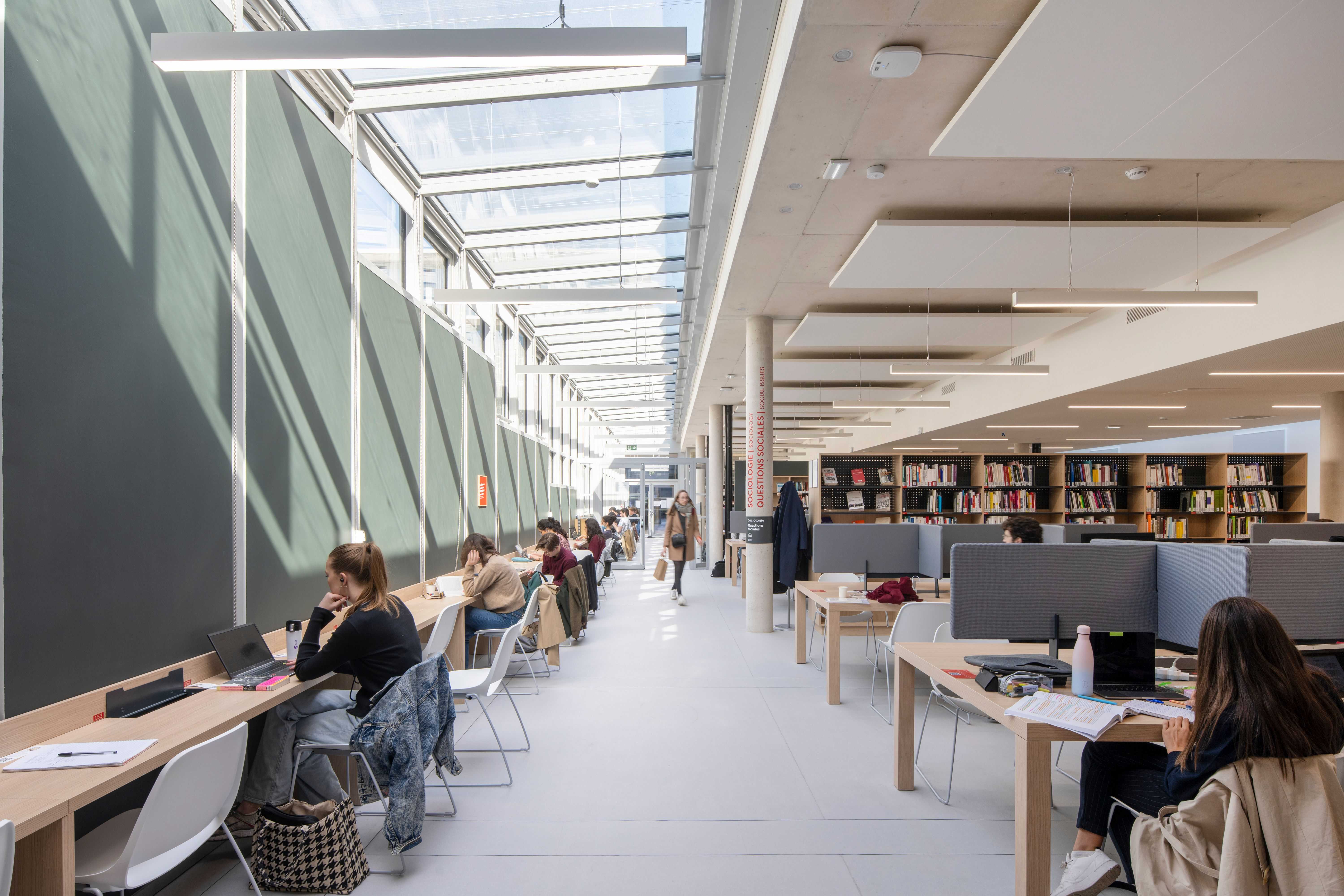 campus-st-thomas-bibliotheque