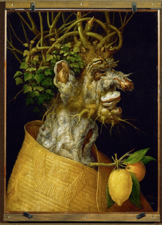 n° 106 Arcimboldo, métamorphose Thomas DaCosta Kaufmann