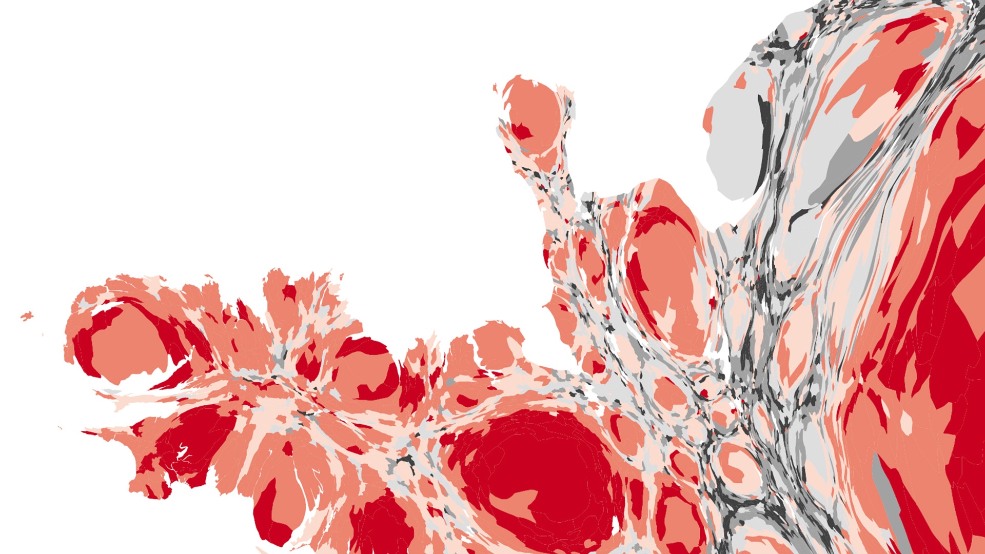 presidentielles2017-couverture-5