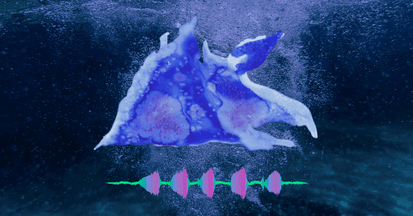 Fond marin avec des bulles avec un dessin artistique et une onde sonore