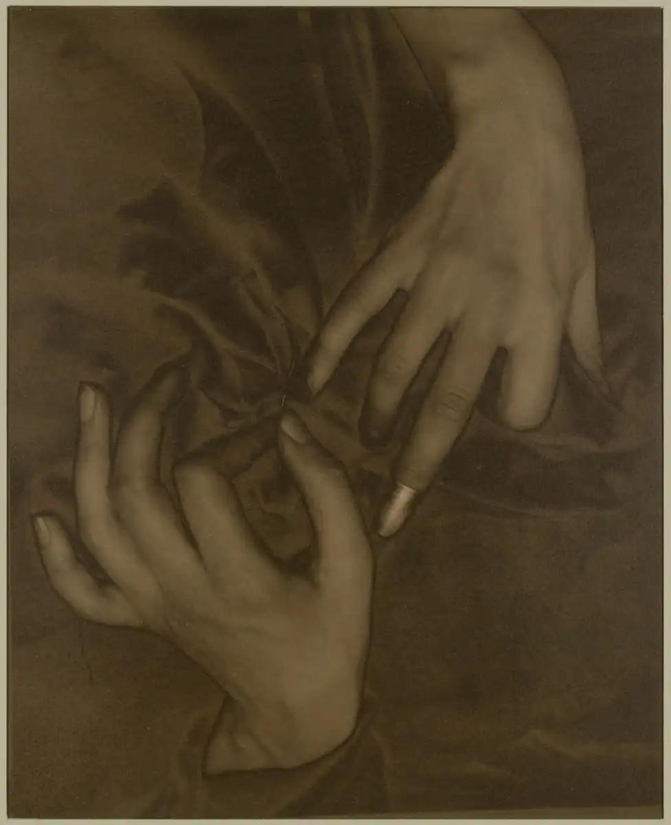Georgia O’Keeffe - Hands and Thimble, de Alfred Stieglitz, 1919.