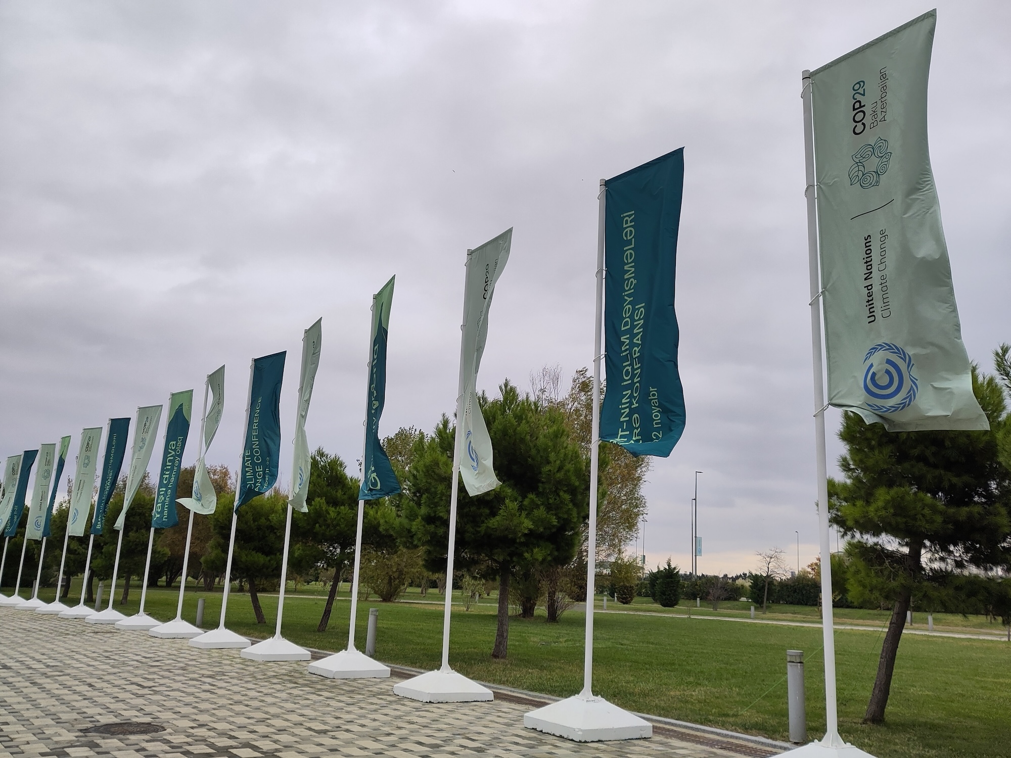 COP 29 Flags COP 29 Flags