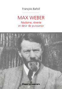 Famille, maladie, guerre, amour.  Les lettres de Max Weber