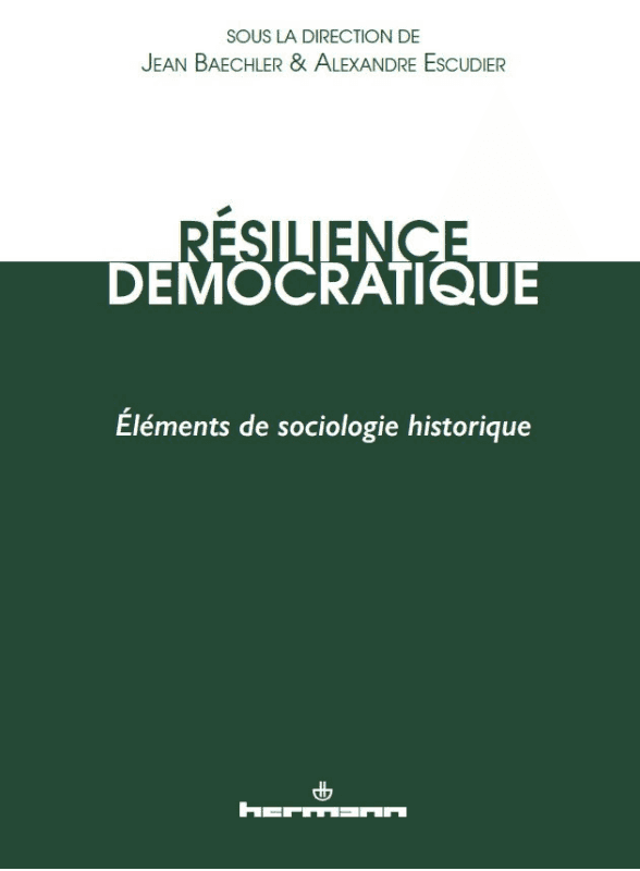 Résilience démocratique - Éléments de sociologie historique 