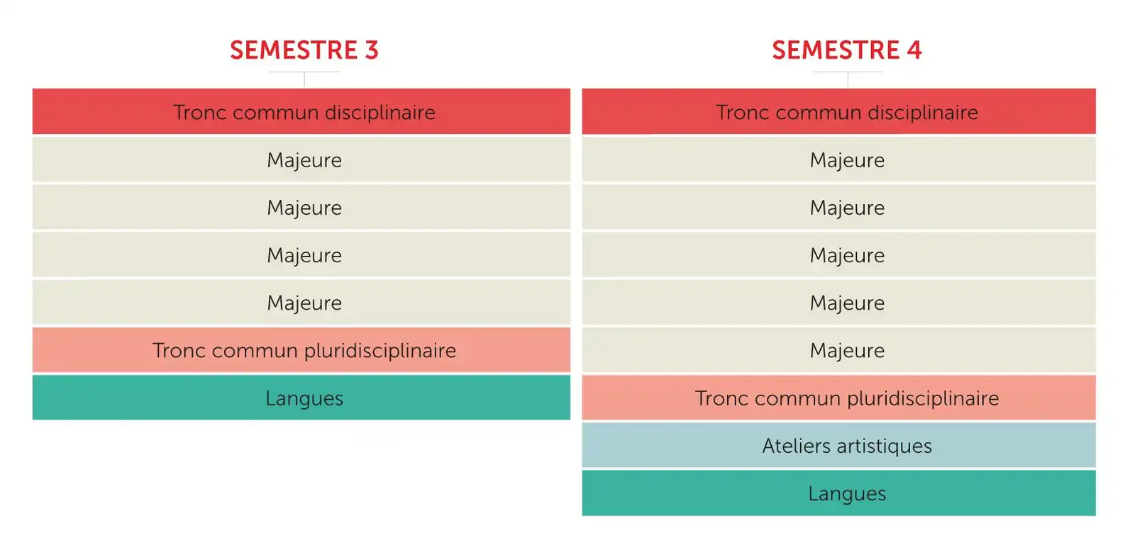 Schéma du parcours étudiant en première année de Bachelor