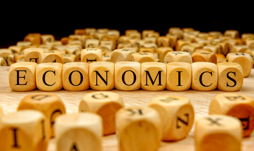 Wood blocks that spell out the word economics