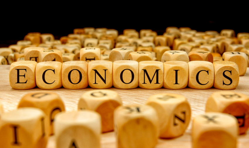 Wood blocks that spell out the word economics