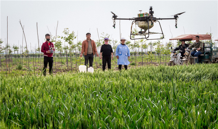 Farmers in China use drones
