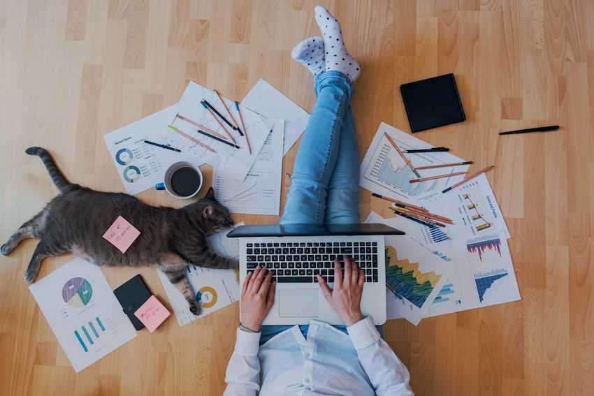 Person working on a computer at home, on the floor, with a cat, coffee mug, and paperwork