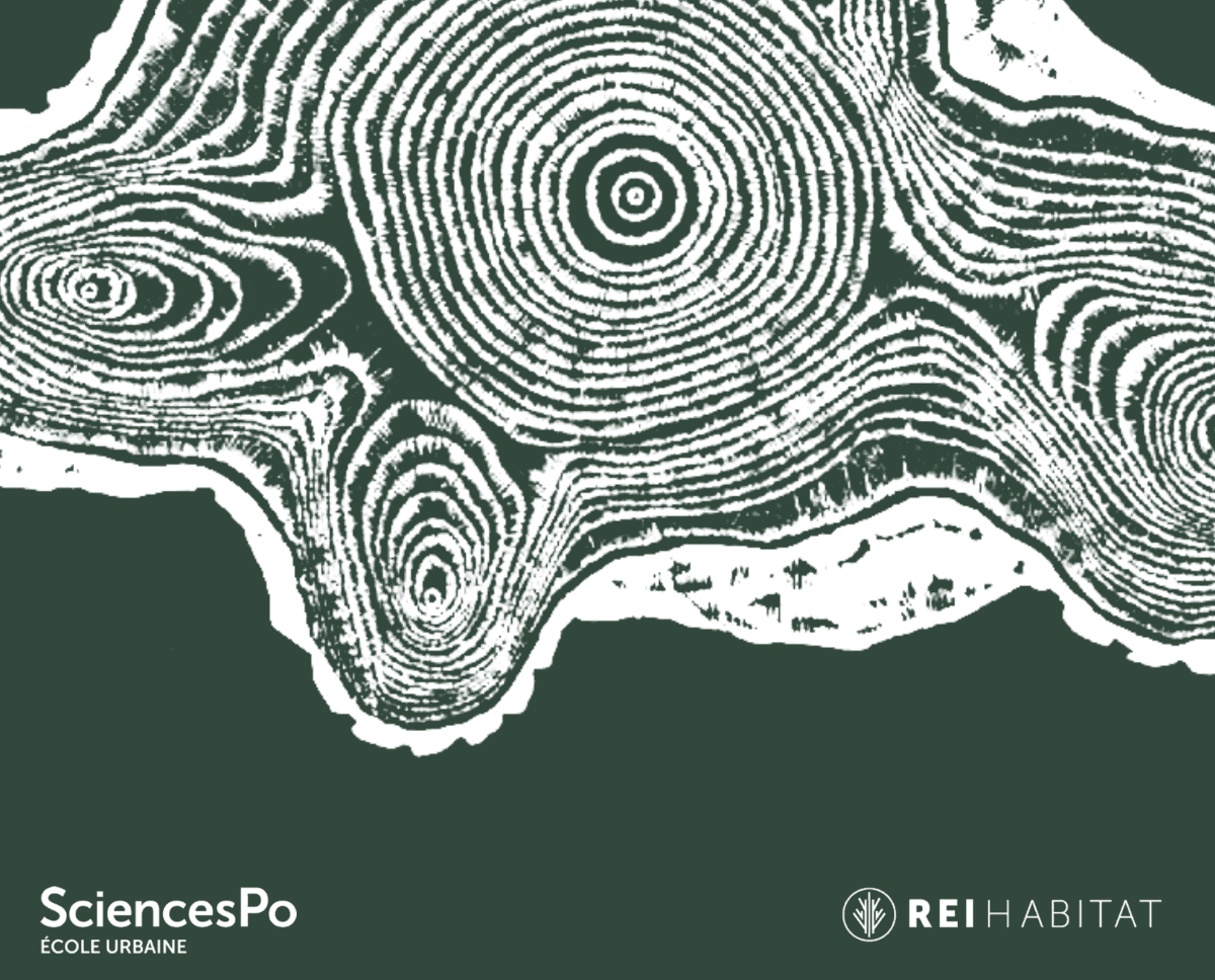 Building with wood: a response to climate and urban issues?