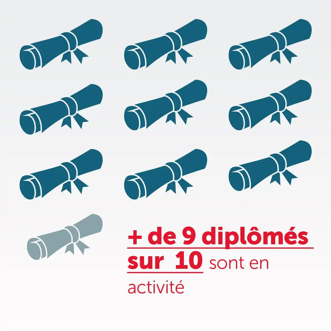 Plus de 9 diplômés sur 10 sont en activité.