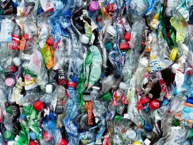 Un tas de bouteilles en plastique compactées.