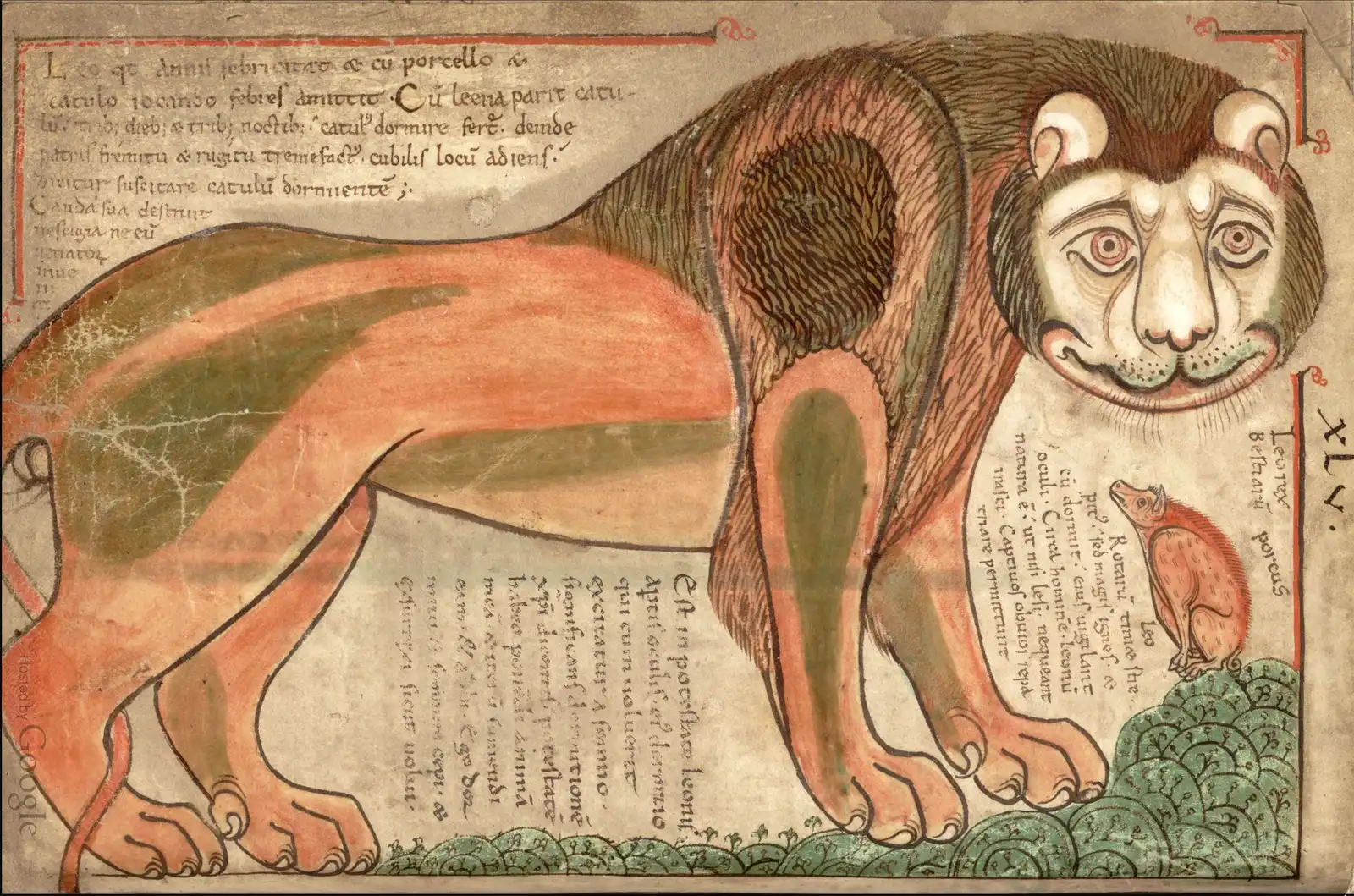 Le lion. Liber Floridus (Ghent University) 1120