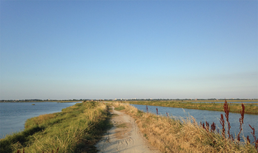 A view of the Comacchio lagoons by G. Parrinello