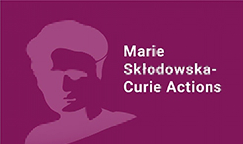 CALL FOR EXPRESSION OF INTEREST - MARIE SKLODOWSKA-CURIE INDIVIDUAL FELLOWSHIPS 