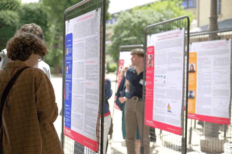 Young Research Activities