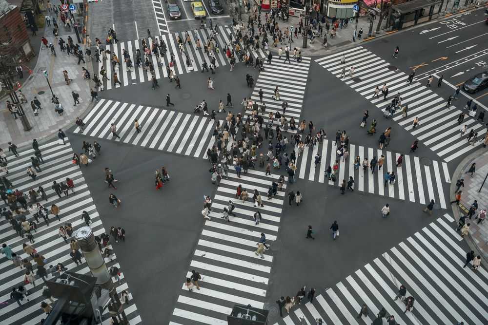 assess the impact of public policies"