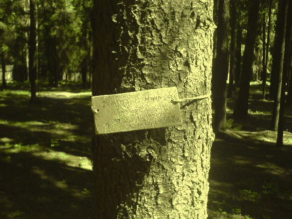 A handwritten and home-made plate reminding a victim’s remembrance