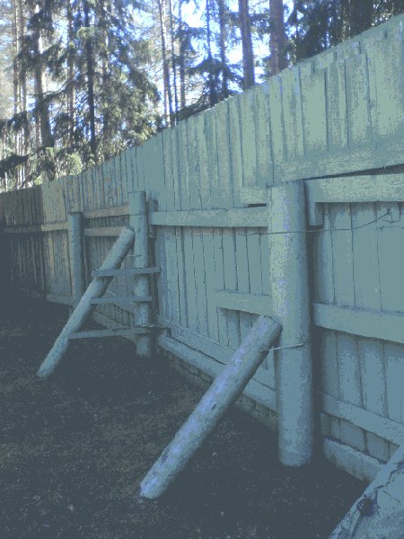 The cemetery fence