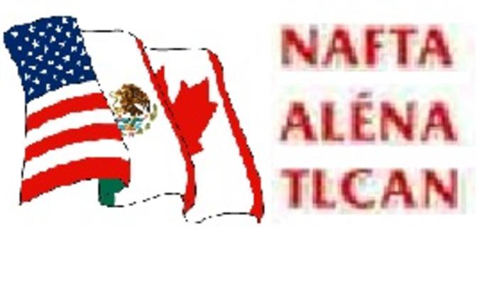 Logo ALENA