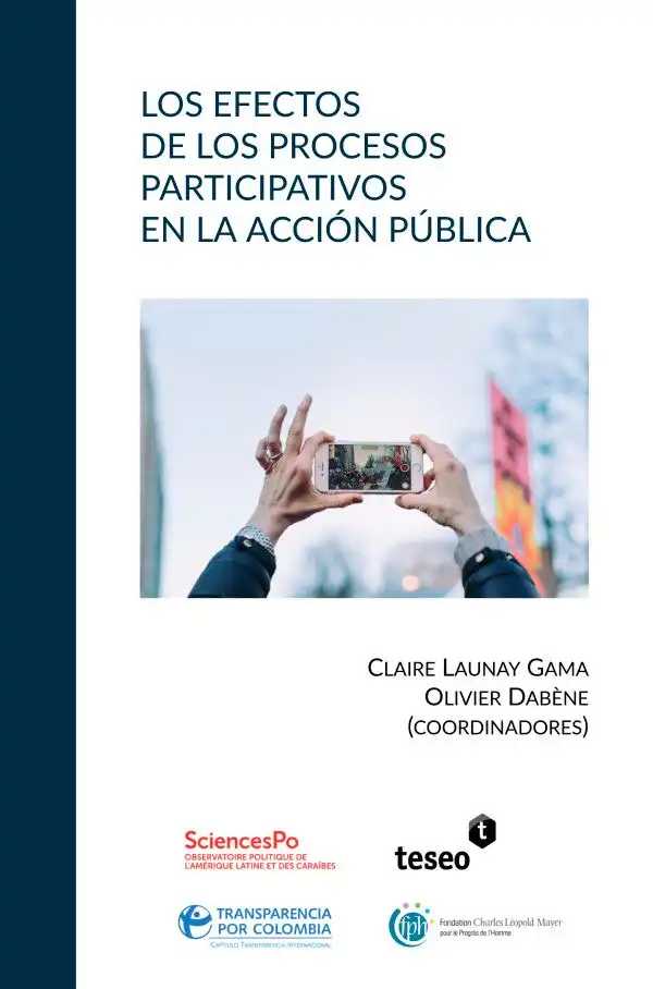 Los efectos de los procesos participativos en la acción pública