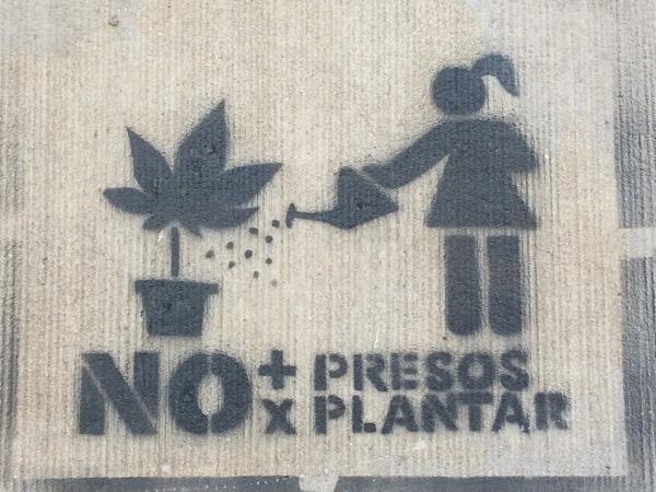« Plus de prison pour planter » (légalisation de la marijuana)