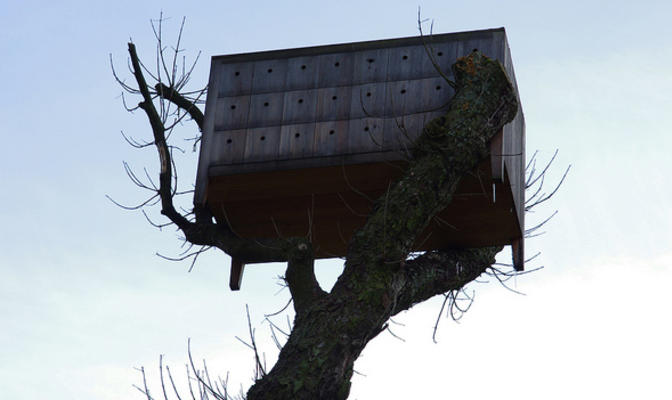 Photo Julien O, "Low rent for birds" - CC BY-NC-ND