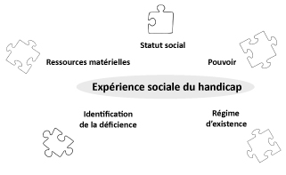 L'expérience sociale du handicap (A. Revillard)