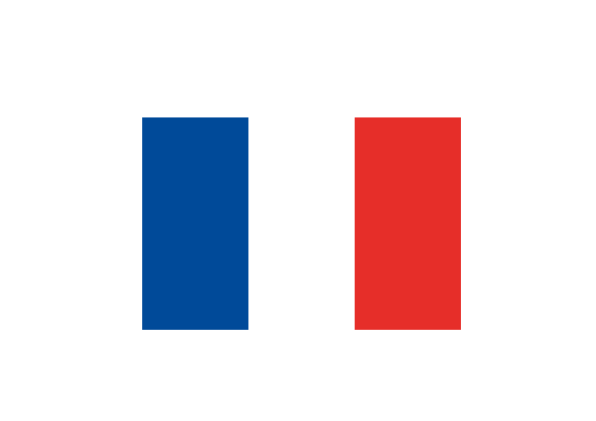 France Flag