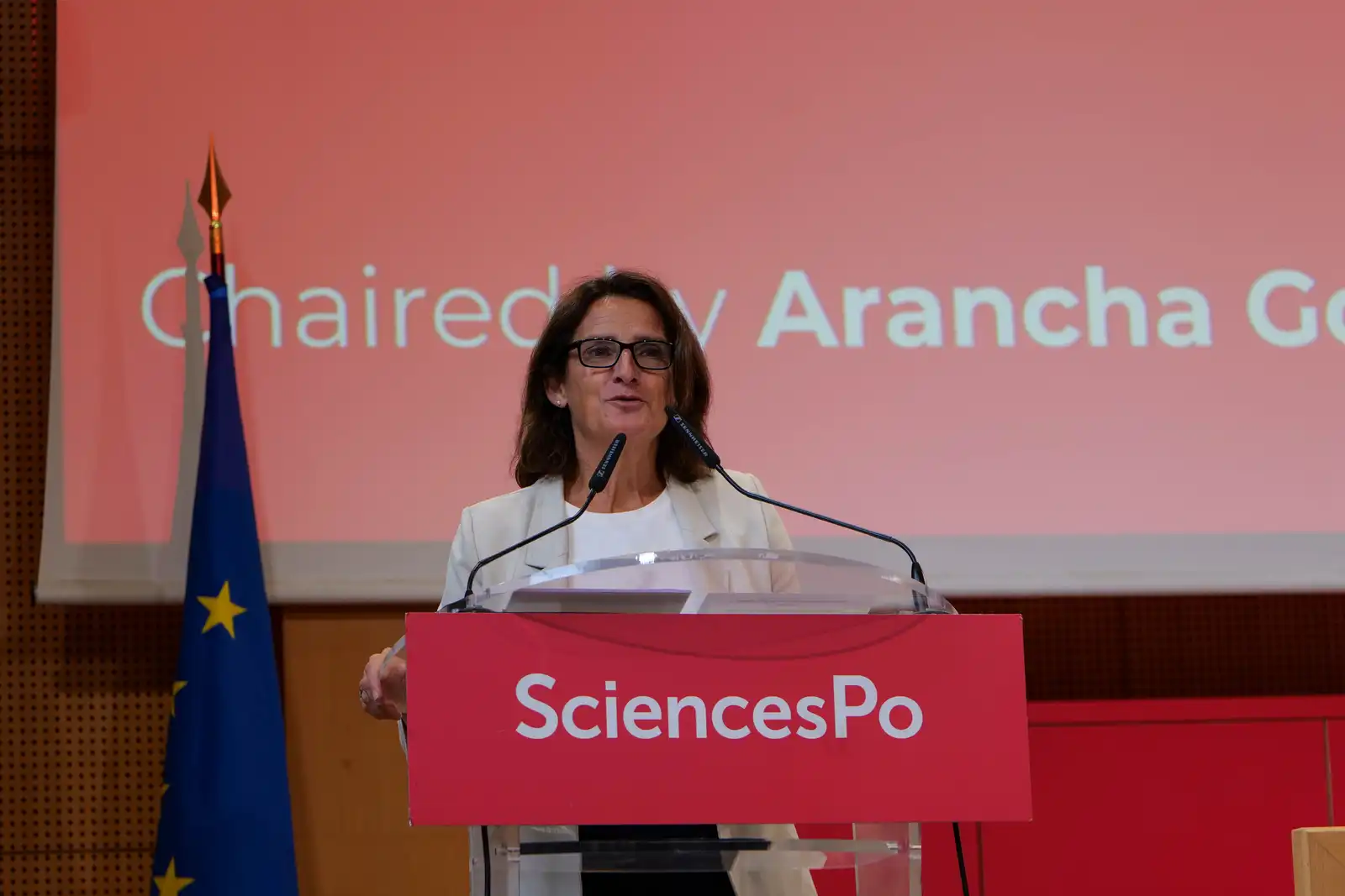 Teresa Ribera's Speech