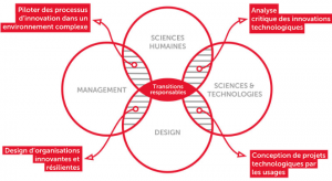 Schéma pédagogique du Master innovation & transformation numérique, École du management et de l’innovation. Crédits Sciences Po