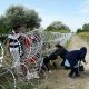 Migrants in Hungary 2015. Photo: Gémes Sándor/SzomSzed/ CC BY-SA 3.0 via Wikimedia Commons