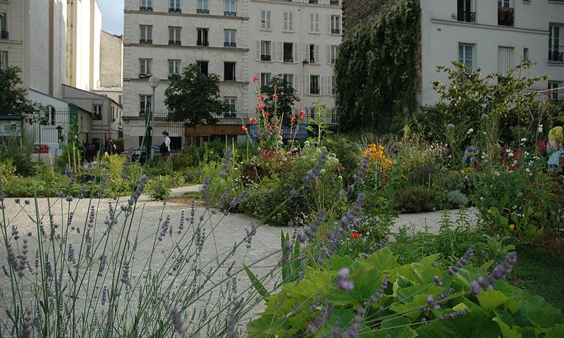 Jardin Partagé du Poireau Agile, Paris.