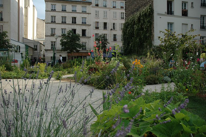 Jardin Partagé du Poireau Agile, Paris.