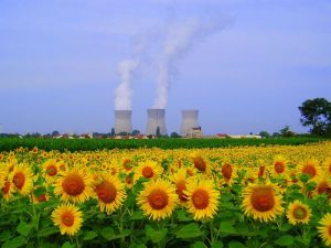 Centrale nucléaire du Bugey et champ de tournesol. CC BY-SA 2.0