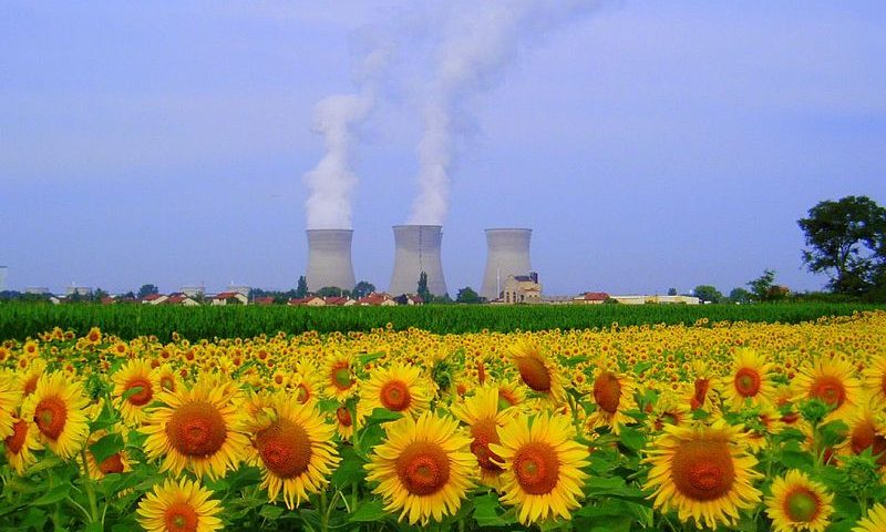 Centrale nucléaire du Bugey et champ de tournesol. CC BY-SA 2.0)