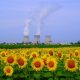 Centrale nucléaire du Bugey et champ de tournesol. CC BY-SA 2.0)