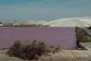 France baie sel réservoir terrain Camargue marais salant Montagne salée Morts aiguë CC0 Domaine public