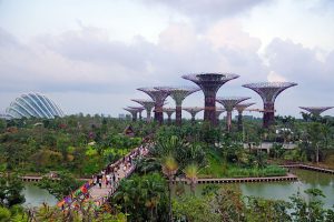 Dragonfly Bridge, Gardens by the Bay, Singapore, 2012, par Allie Caulfield. [CC BY 2.0 (https://creativecommons.org/licenses/by/2.0)], via Wikimedia Commons