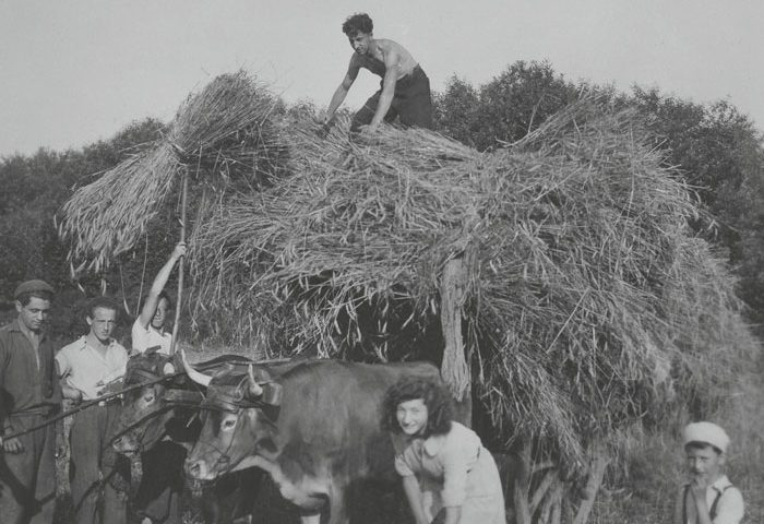 La survie des juifs en France (1940-1944)