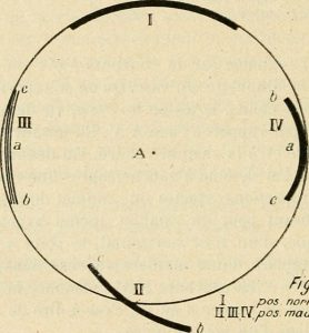 ANTHROPOLOGIE ellipse. Source : Association française pour l'avancement des sciences. Aucune restriction de droits d’auteur connue 