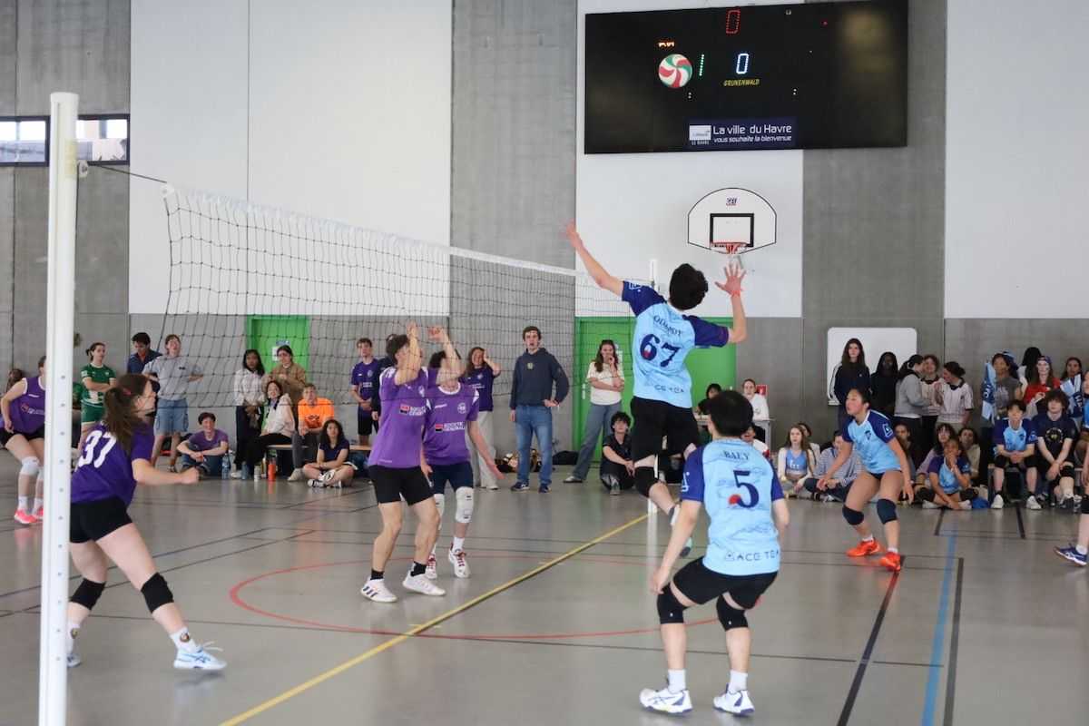 collegiades-volley-havre-2026-sciencespo